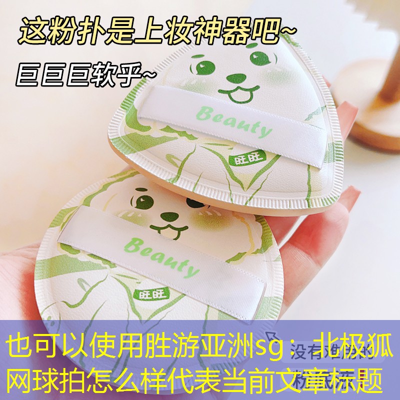 胜游亚洲sg：北极狐网球拍怎么样
