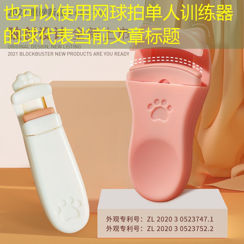 网球拍单人训练器的球